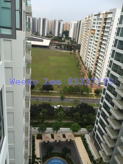 A Treasure Trove (D19), Condominium #145869202